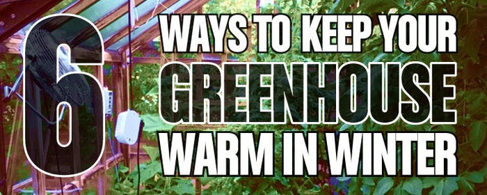6 Ways to Keep your Greenhouse Warm in Winter
