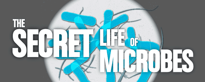 The Miracle of Microbes!