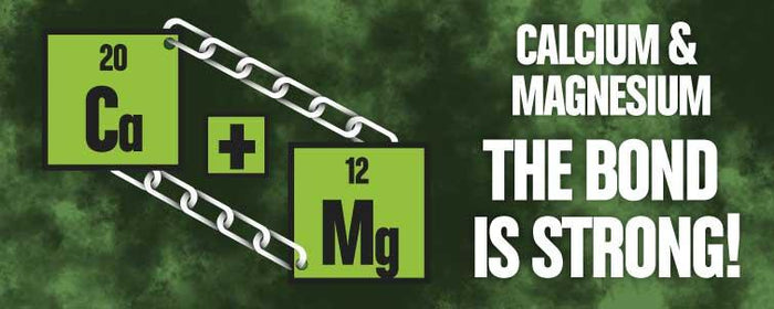 Calcium & Magnesium – the Bond is Strong!