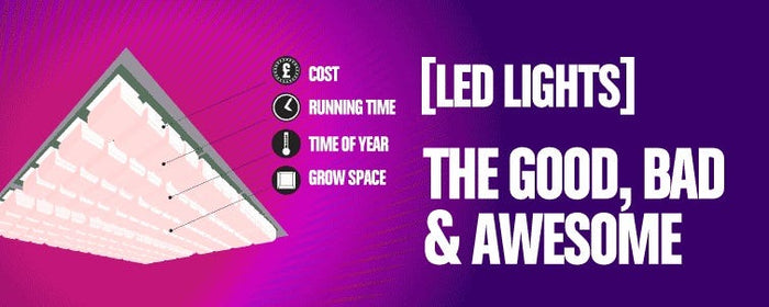 LEDs – The Good, The Bad, The Awesome