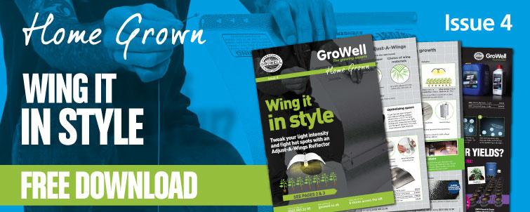 Wing it in Style! [Issue 4]