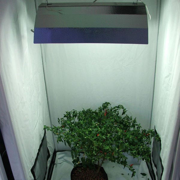 BAY6 Euro CFL Lighting System Blue