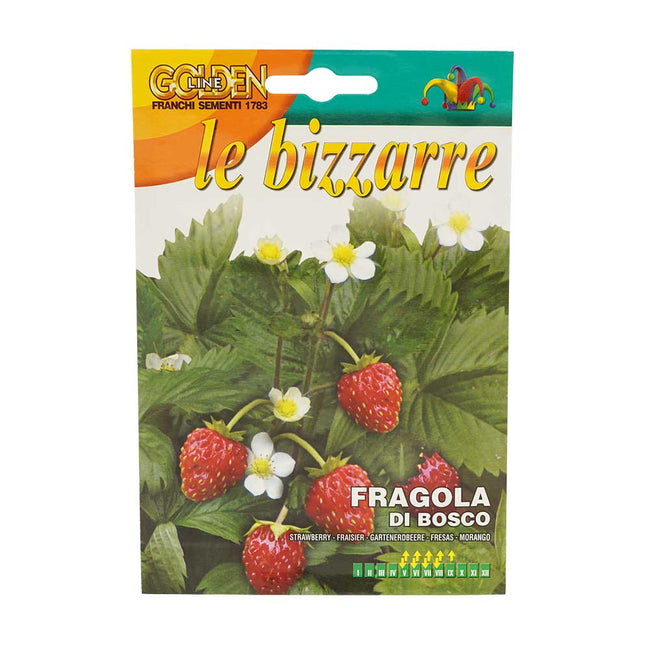 Franchi Seeds 1783 Strawberry Di Bosco Seeds