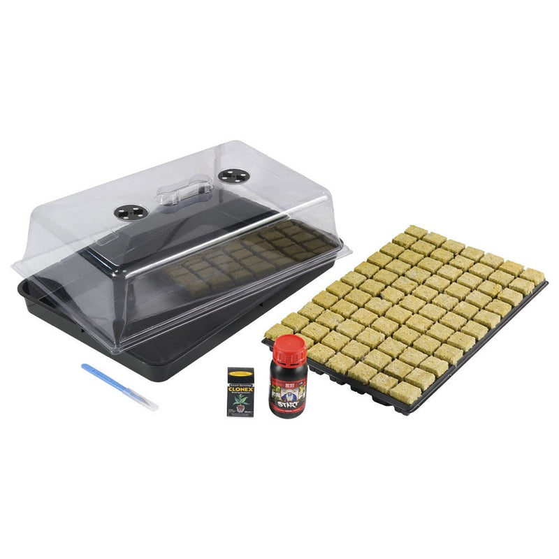 Propagation Kit with Rockwool Cubes