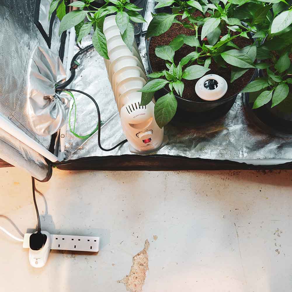 Lighthouse Wireless Thermostat