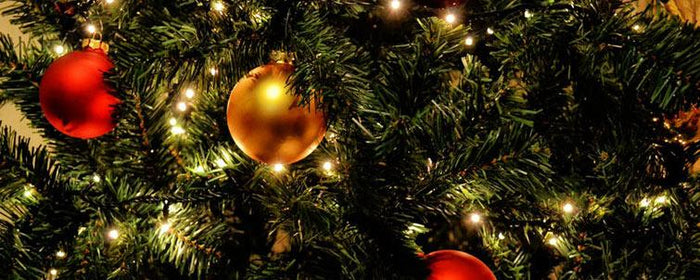 5 Biggest Mistakes Made By Growers Over The Holidays