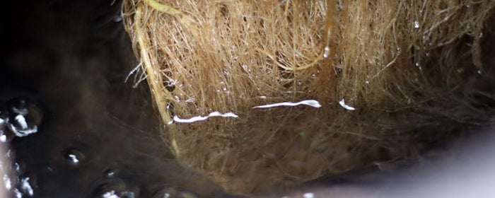 5 Ways To Get The MOST Out Of Your Bubbler System