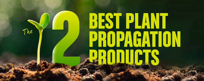 12 BEST Plant Propagation Products