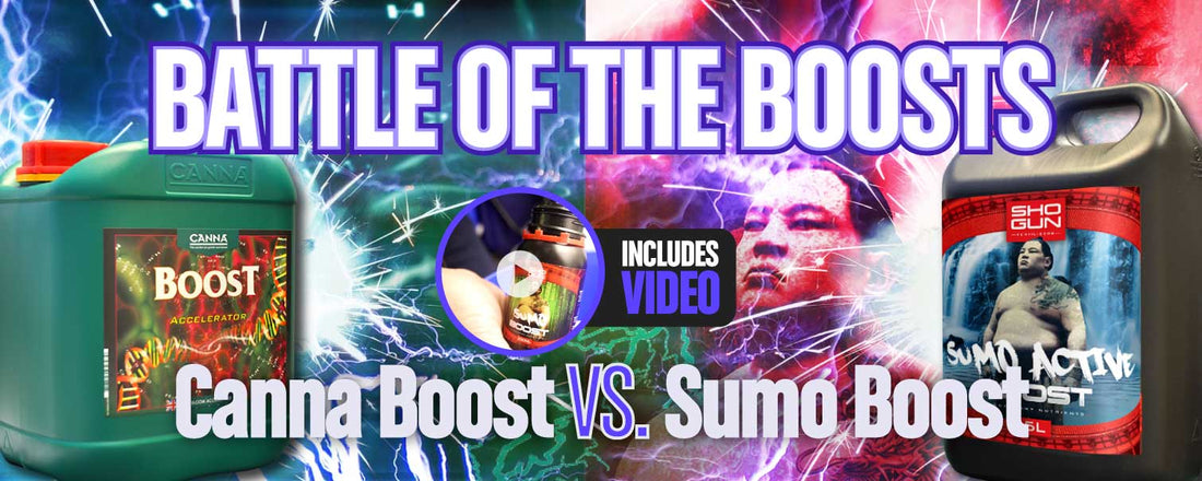 Battle of the Bloom Boosters: Canna Boost Accelerator vs. SHOGUN Sumo Active Boost