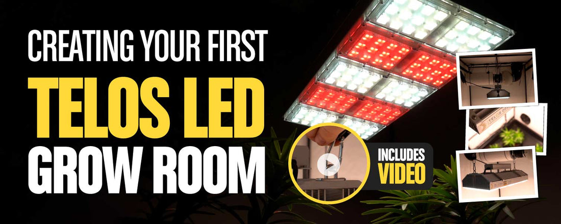 Building Your First Telos LED Grow Room