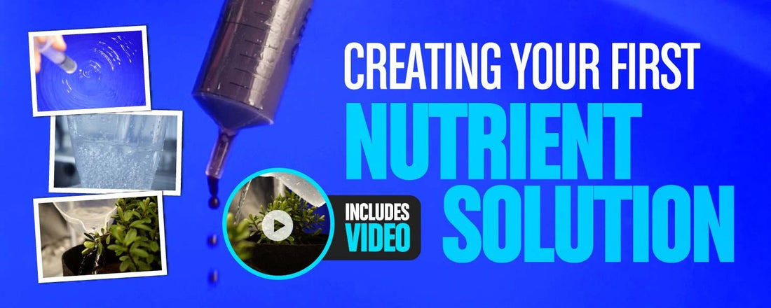Creating Your First Nutrient Solution