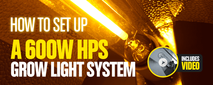 How to set up a 600W HPS grow light system