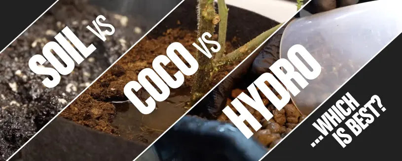 Soil Vs. Coco Vs. Hydro…Which Is Best?