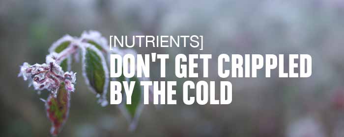 [Nutrients] Don't Get Crippled by the Cold
