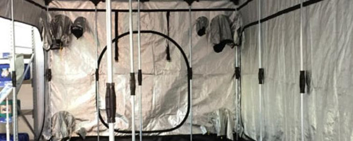 Grow Light Layout: 5 Things YOU Should Be Doing!