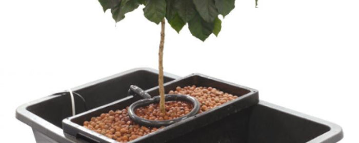 What's the Brummie Bubbler / Oxy-Dripper ?