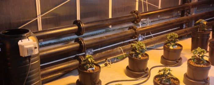 IWS Flood & Drain - How to Do it Right