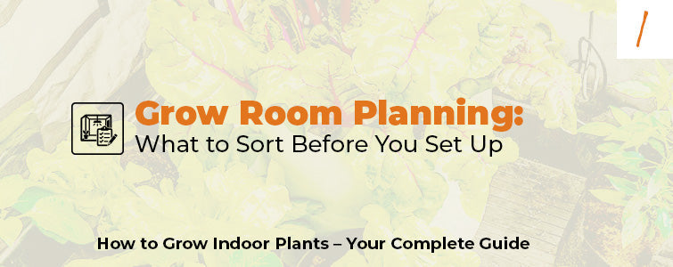 Grow Room Planning: What to Sort Before You Set Up