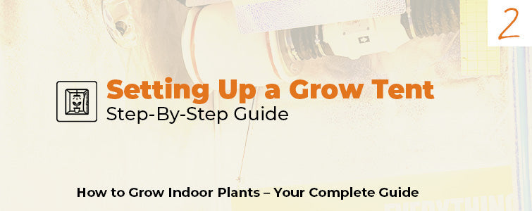Setting Up a Grow Tent: Step-by-Step
