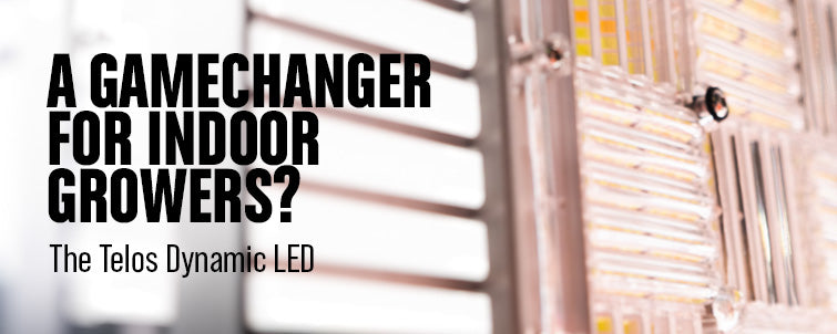 Why Telos Dynamic LEDs Are a Game Changer for Indoor Growing