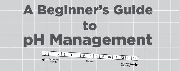 A Beginner's Guide to pH Management