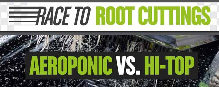 Race To Root Cuttings: Aeroponics vs. Hi-Top Propagator