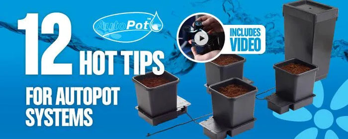 12 Hot Tips for AutoPot Systems