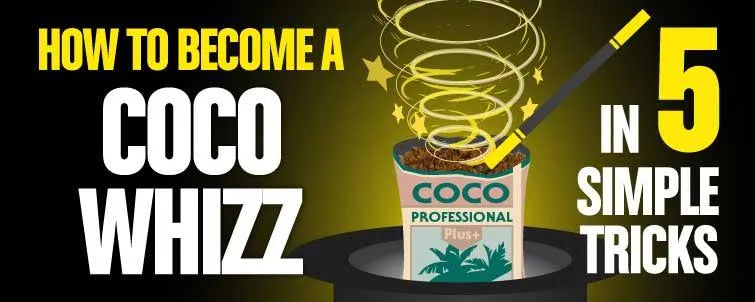 Be a Coco Whizz - Back to Basics