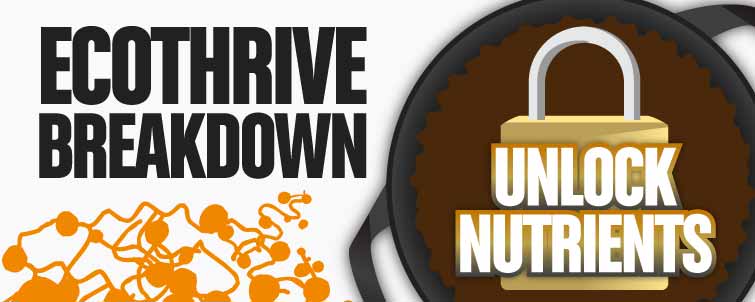 Ecothrive Breakdown – Unlock Nutrients