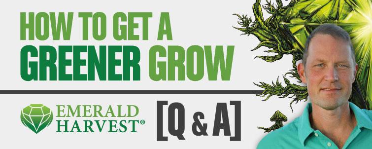 Get a Greener Grow - Emerald Harvest Q&A