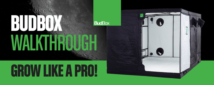 [BudBox Walkthrough] Grow like a PRO!