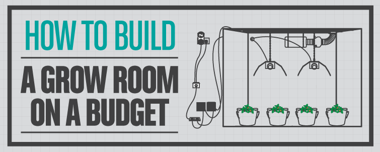 How to Build a Grow Room on a Budget