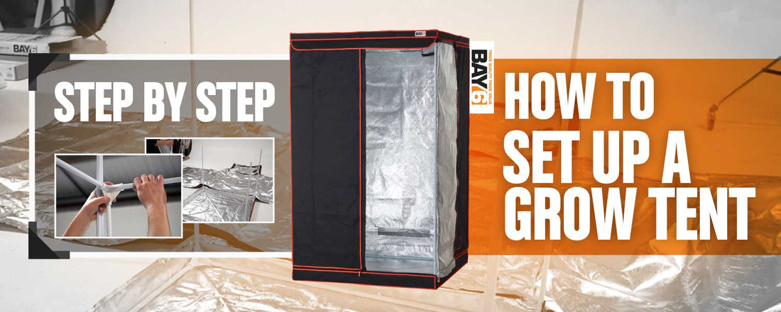 How to Set Up a Grow Tent [Step by Step]
