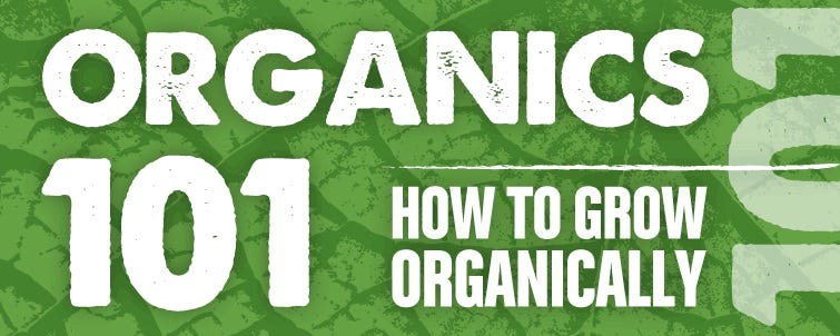 Organics 101 – How to Grow Plants Organically Like a Boss