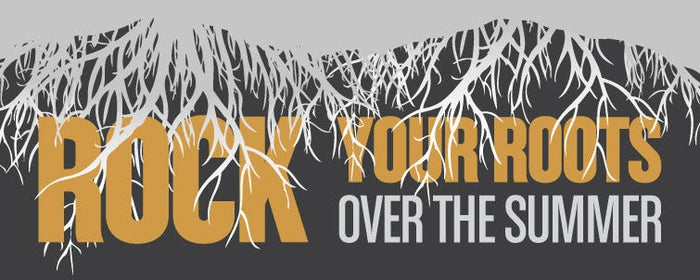 Rock Your Roots This Summer