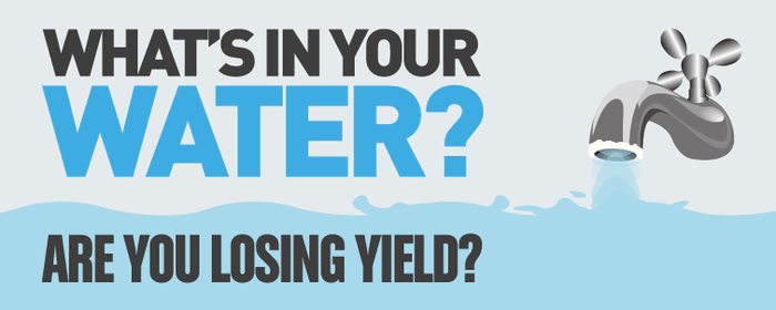 Is Your Water Hurting Your Yields?