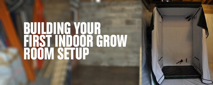 Building Your First Indoor Grow Room Setup