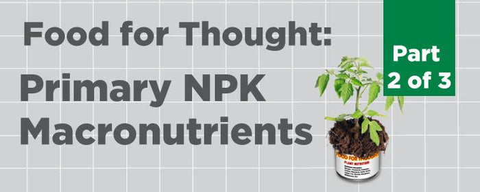 [Food For Thought] Primary NPK Macronutrients (Part 2 of 3)