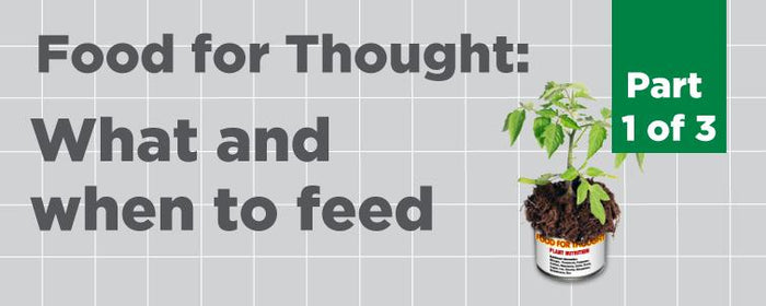 [Food for Thought] What and When to Feed (Part 1 of 3)