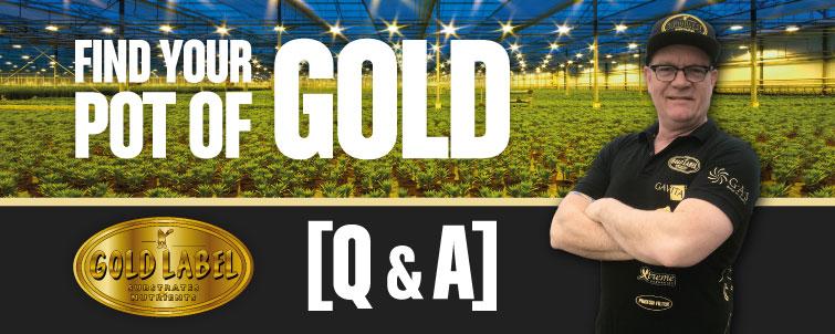 [Q & A] Find Your Pot of Gold