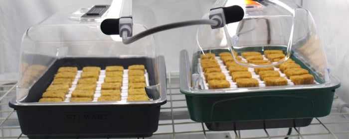 Heated vs. Unheated Propagator - Which is Best?