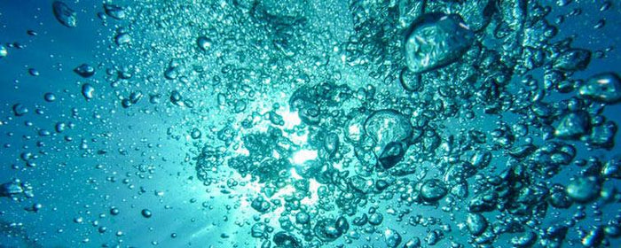 [Deep Water Culture] All about the bubbles!