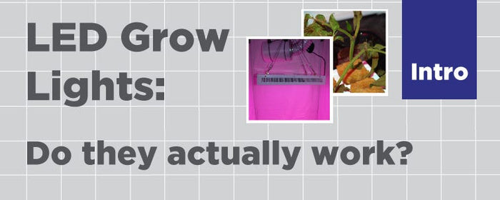 LED Grow Lights – Do They Actually Work?