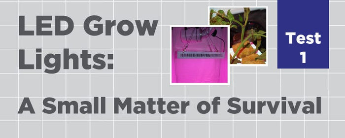 LED Test 1: A small matter of survival