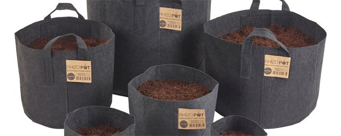 [New RhizoPots] How they Work