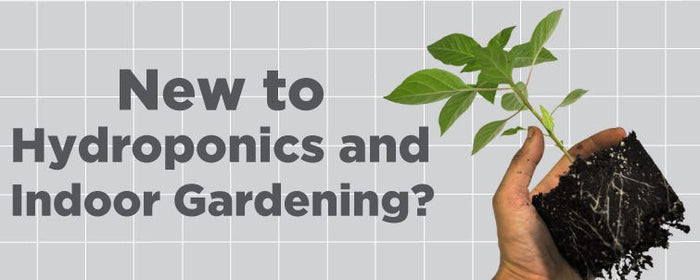 TEST Blog - New To Hydroponics And Indoor Gardening?