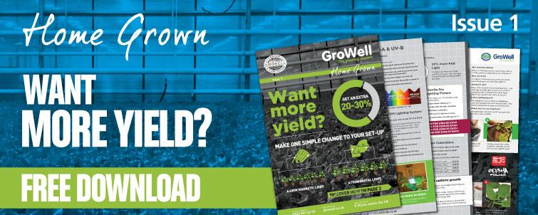 Want more yield? [Issue 1]