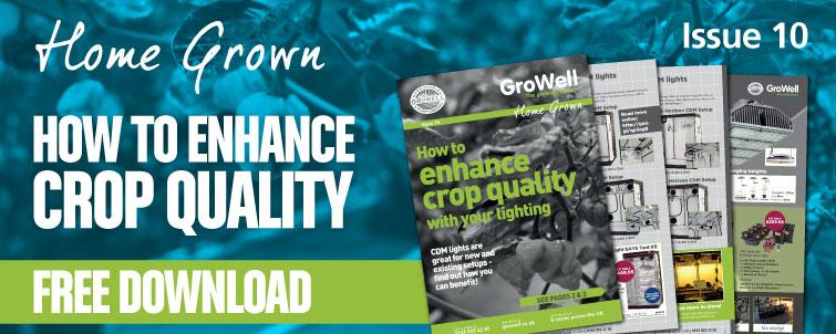 How to Enhance Crop Quality With Your Lighting [Issue 10]