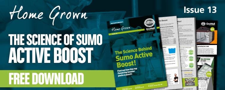 The Science Behind SHOGUN Sumo Active Boost [Issue 13]