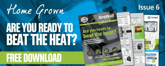 Are You Ready to Beat the Heat? [Issue 6]